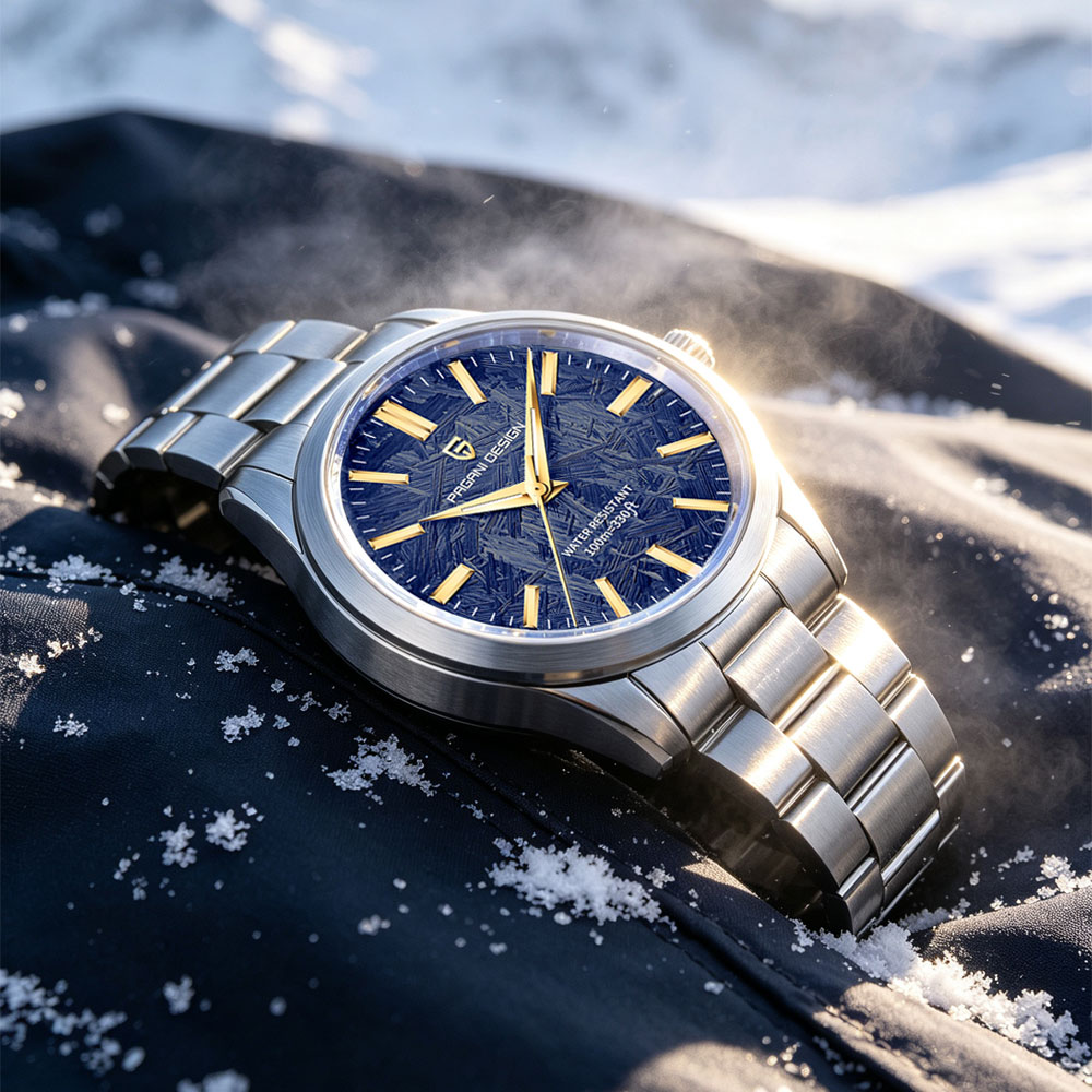 PAGANI DESIGN 40MM Men Quartz  - Jewelry Watch recension och pris